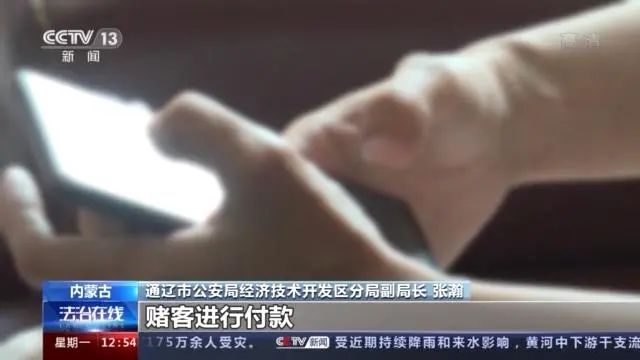 游戏充值被骗近2万元！背后竟牵出特大“跑分平台”跨境洗钱黑产链(图29)